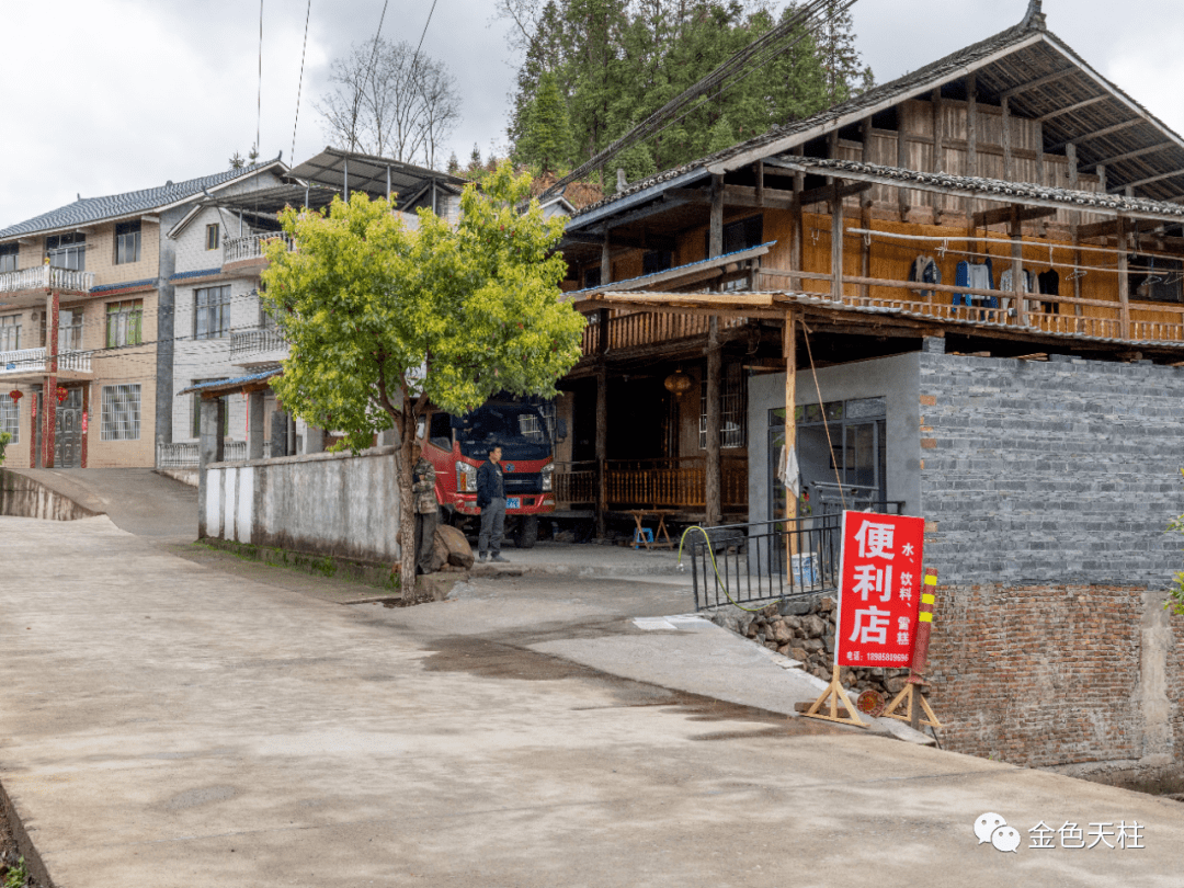 远口镇:露营基地火出圈 激活乡村振兴新动能_发展_村里_游客