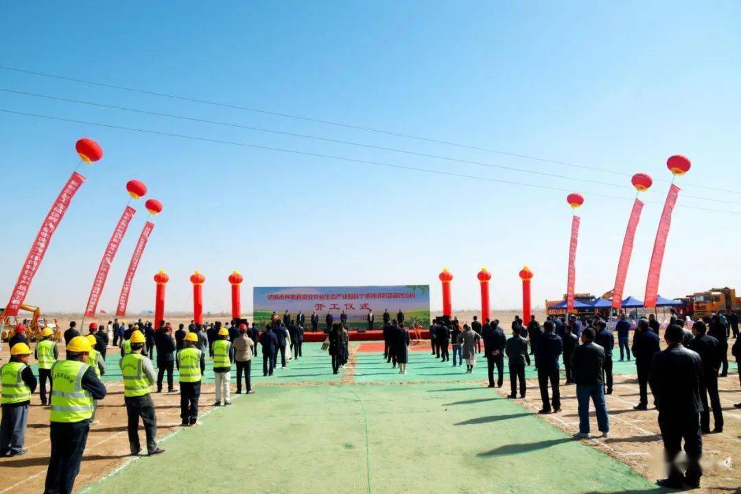民勤县高效农业生态产业园昌宁镇辣椒育苗基地项目举行开工仪式 焦