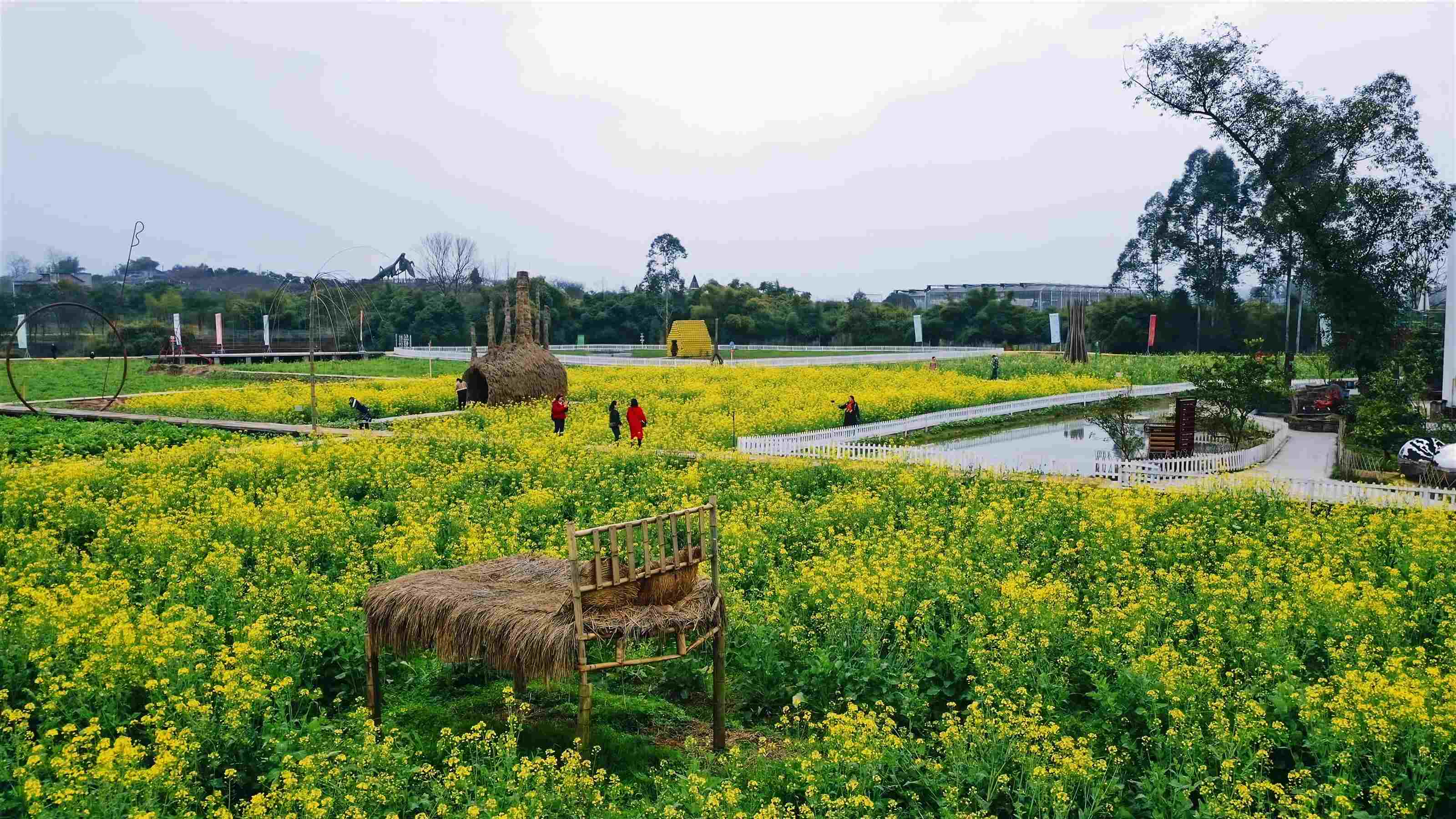 重庆市璧山区七塘镇:艺术乡建助力乡村振兴_将军村_院落_村民