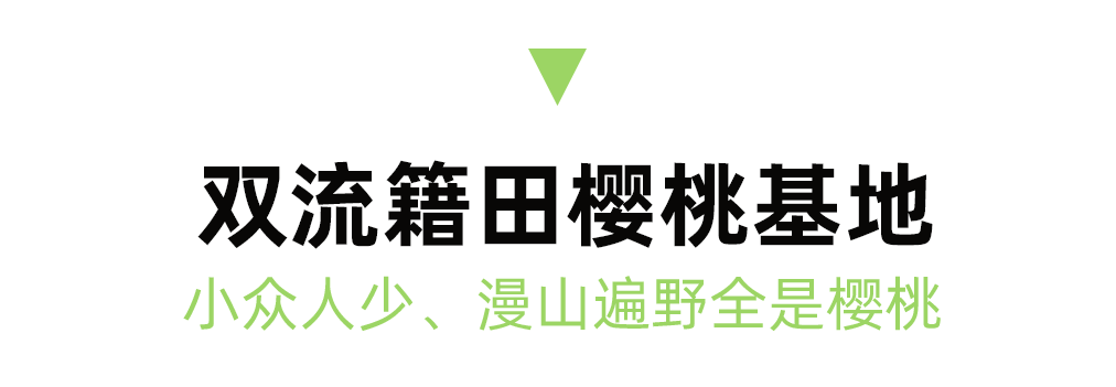 2023成都周边最全恩桃儿采摘地图出炉，6条线路保藏！