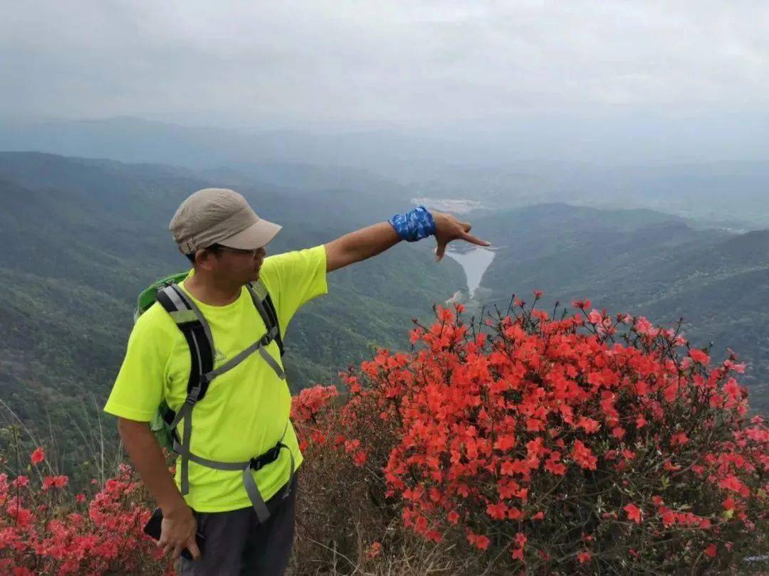 周四【2023年通天蜡烛杜鹃花节】67:登从化通天蜡烛,赏漫山杜鹃花海