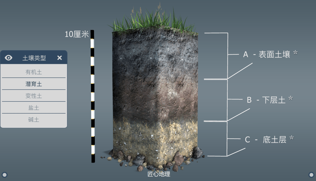 土壤垂直分布剖面图图片