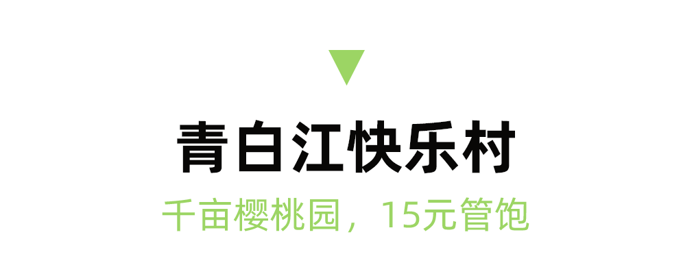 2023成都周边最全恩桃儿采摘地图出炉，6条线路保藏！