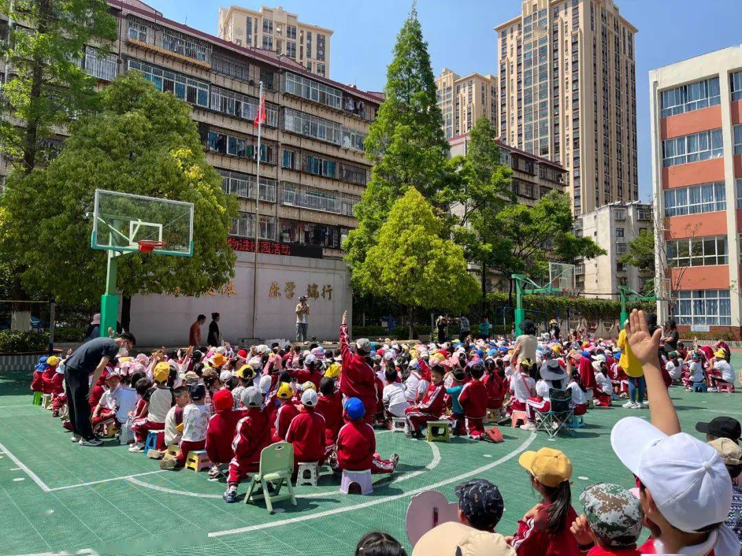 【科普进校】我们与动物交朋友走进江滨小学_活动_保护_标本