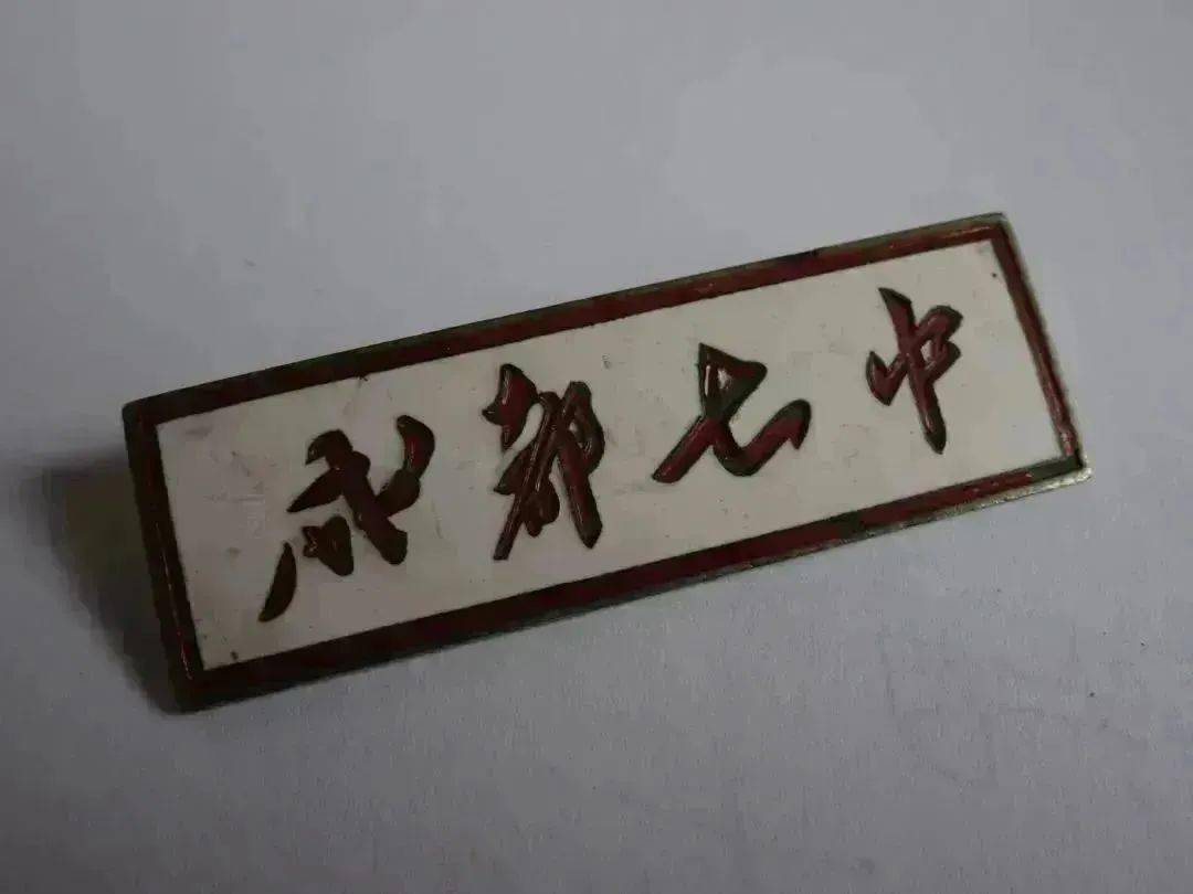 邢台市第七中学校徽图片
