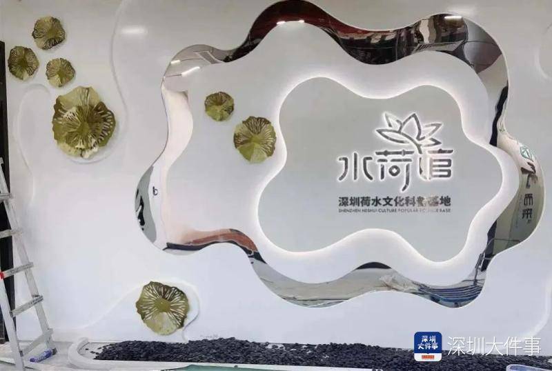 大花石上莲（大花石上连） 第4张