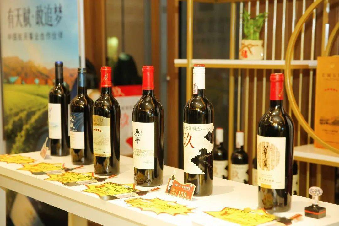 一龄集团2023年度欢乐嘉年华暨第三届健康美丽幸福中国