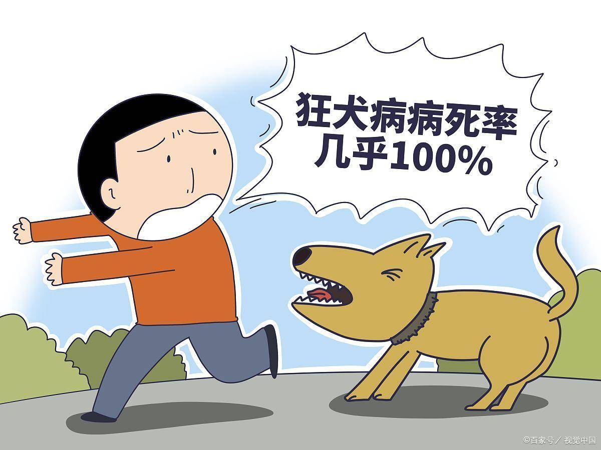 男孩被狗抓伤患狂犬病20天后死亡,医生称:狂犬病病死率几乎100%_处置