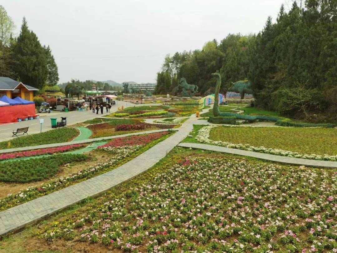 当季,到贵州农博园,看花海,闻花香_牡丹花_审核_汪凤鹃