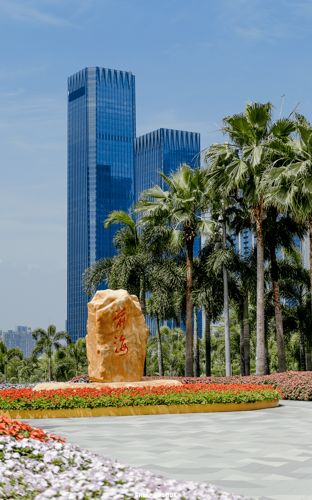 前海,到底有多浪漫_公园_运动_深圳