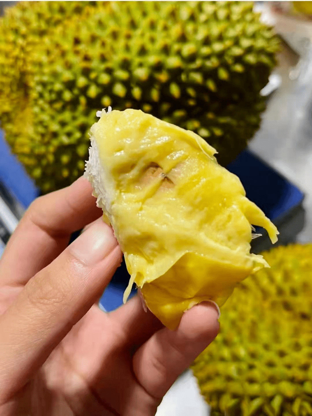 【泰国托曼尼榴莲】宠粉福利!直降10元!猫山王的亲戚!不足房包赔!