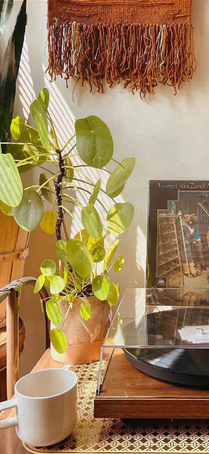 壁纸| 超好看的文艺ins风锁屏壁纸 676767