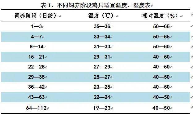 鸡雏湿度图片