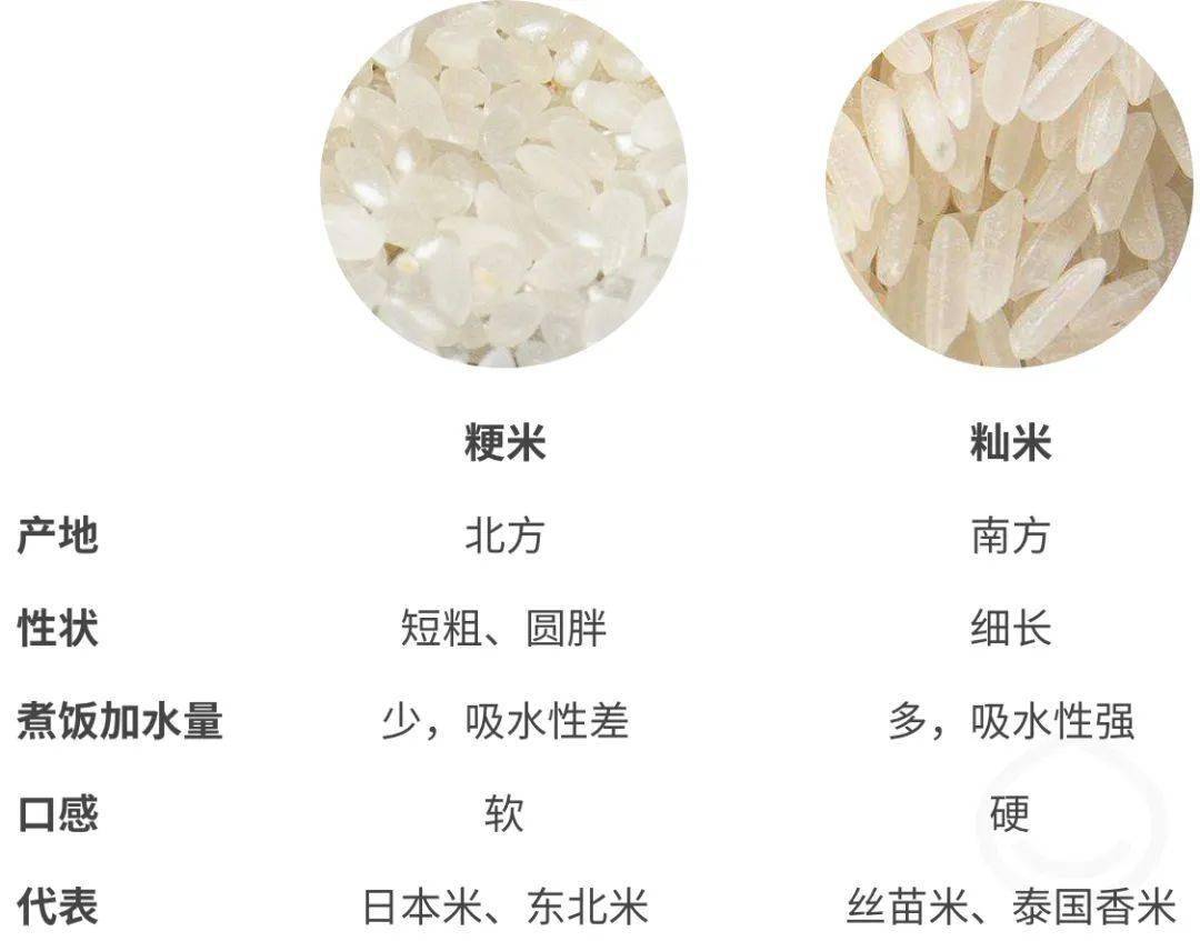 "粳米"和"籼米"有何不同?学会后可别再买错了