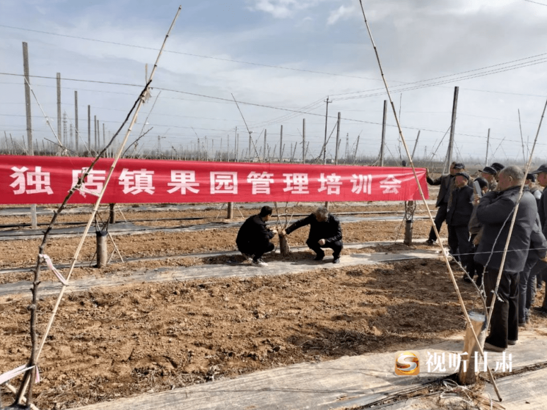 “三抓三促”动作停止时 | 灵台 ：“一线工做法”助力干部强筋壮骨鞭策重点使命落实