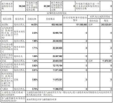 木林森股份有限公司2022年度陈述摘要