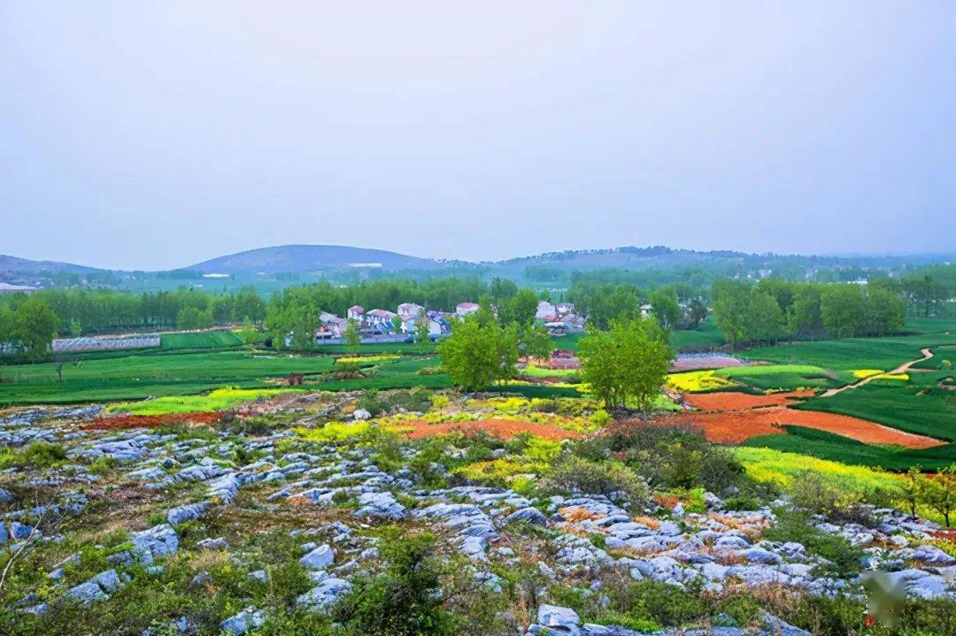 我的家乡有_______宿州_萧县_sa