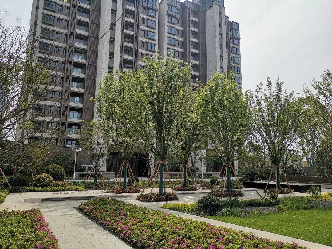 1380万成交?南京苏宁檀悦刚交房就涨400多万