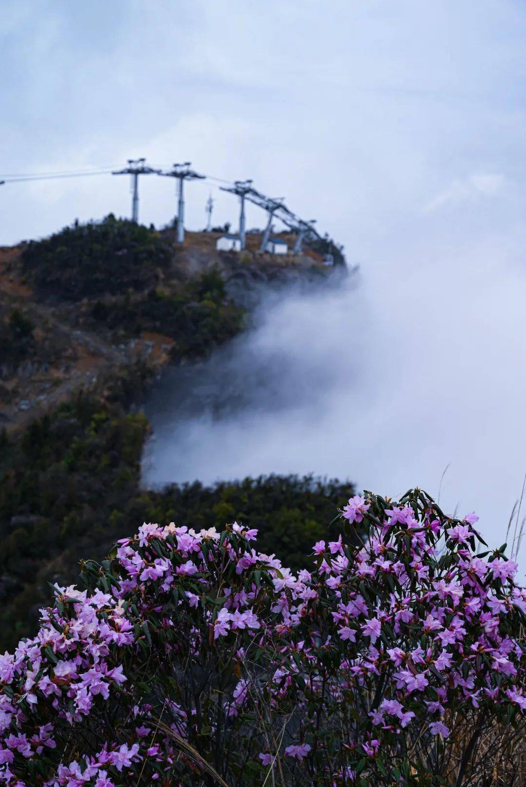 秀山川河盖索道票价图片