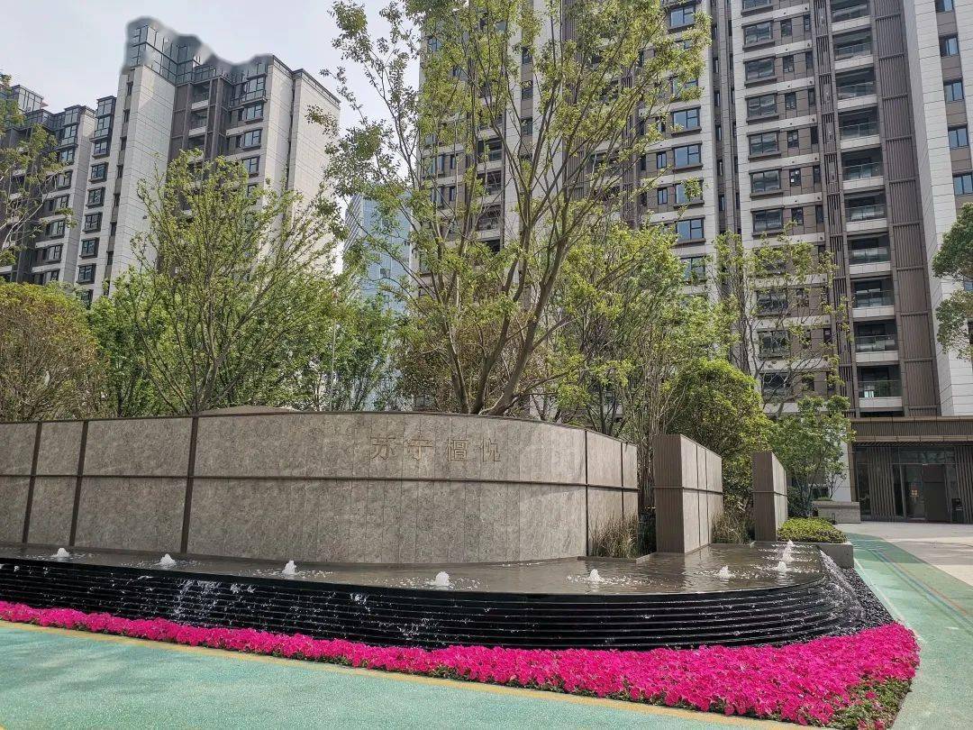 1380万成交?南京苏宁檀悦刚交房就涨400多万