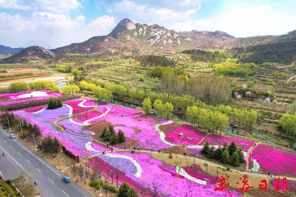 昆嵛山下花似海_威海_朱春晓_盛花期