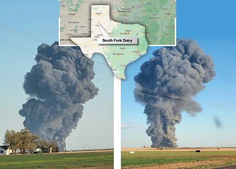 美国大爆炸惊现蘑菇云, 超18000头牛被屁炸死_来自_图片_甲烷