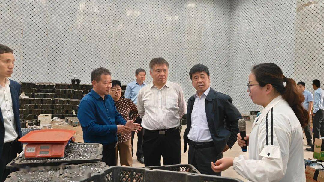 市政协领导赵洪勋带队莅清调研红薯产业发展情况_部门_模式_乡村