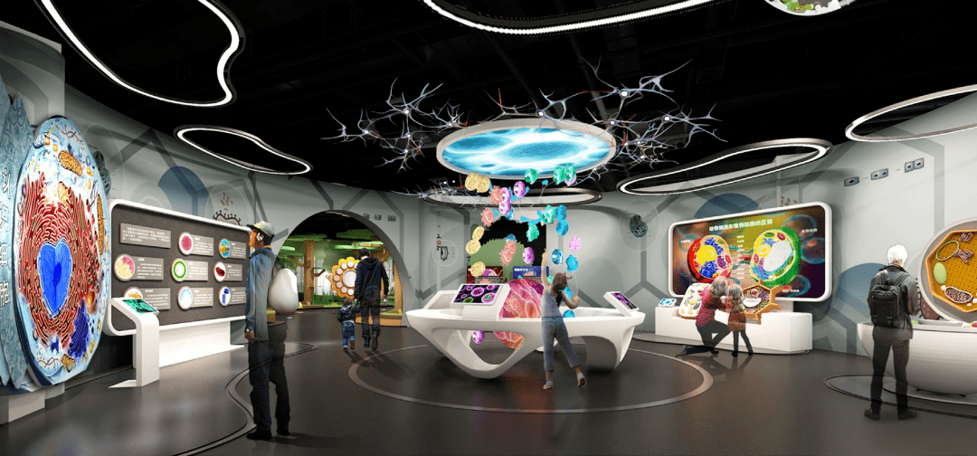 龙门山生物多样性博览园丨一场沉浸式生态发现之旅即