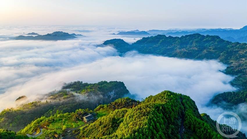 重慶南川:雲霧漫山春色美_金佛山_任琦_com