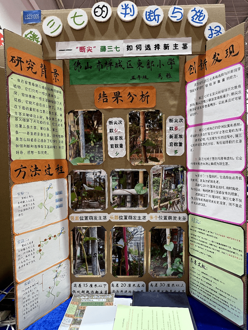 张槎学子在第38届广东省青少年科技创新大赛中获佳绩_小学_教育_论文