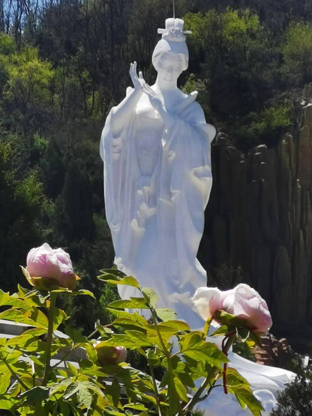 花开时节动京城 | 古县第十六届"天下第一牡丹"文化旅游月系列活动将