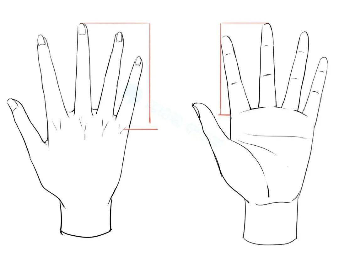【圖文教程】正面,側面,動態の手怎麼畫_手指_手掌_關係