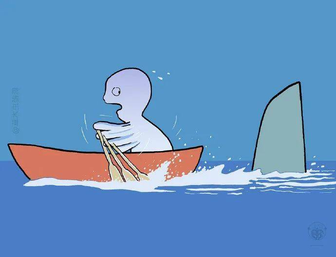 悟空_动物_西游