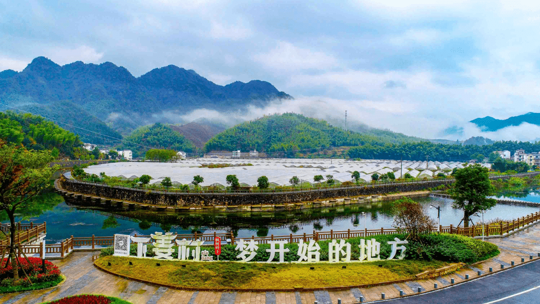 大下姜农文体旅融合专线正式"发车"!_发展_姜村_建设