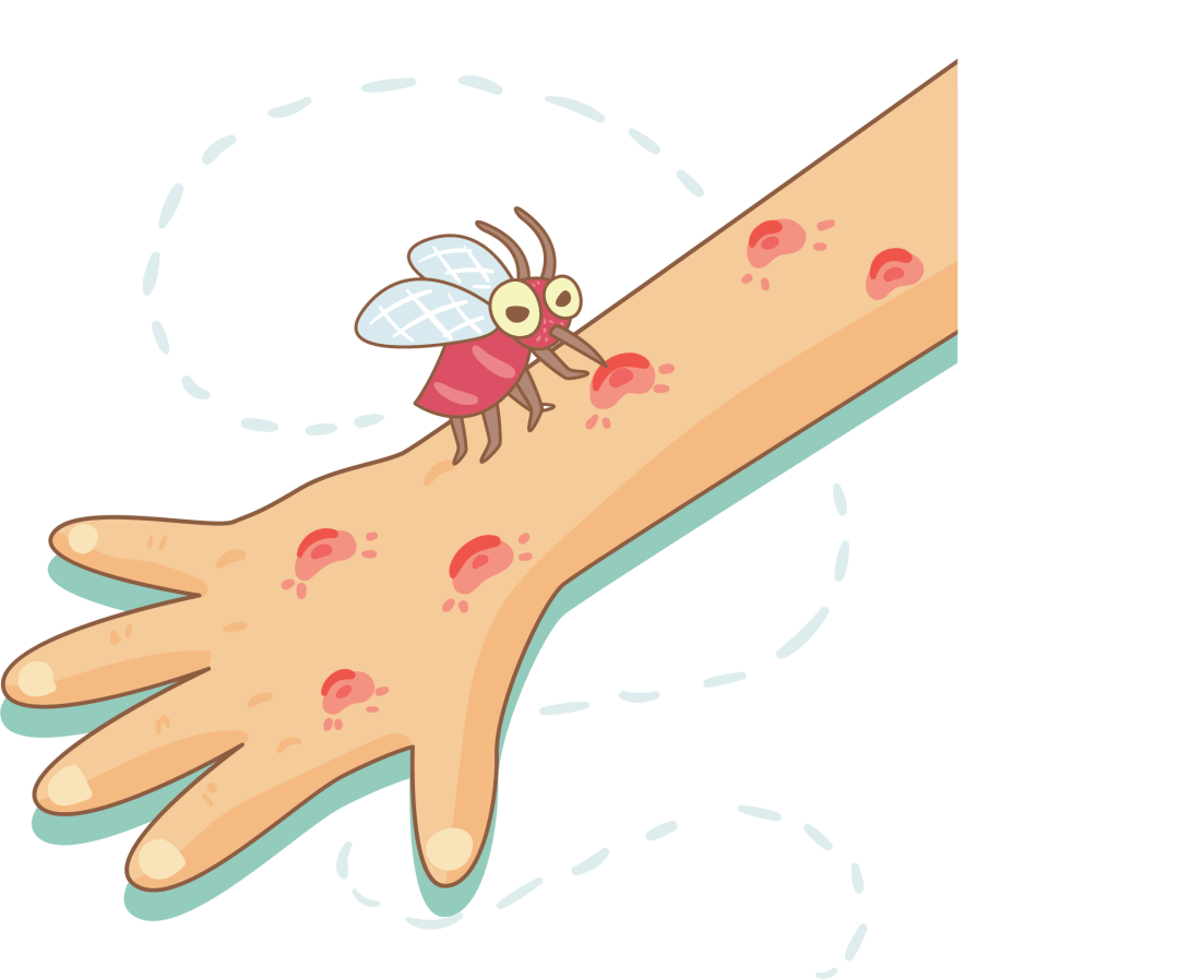 感染的途径与预防人感染疟疾,最常见的感染途径是被受感染的雌性按蚊