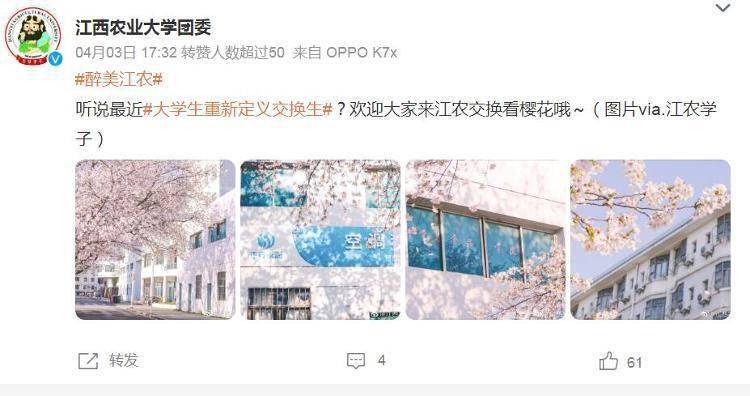 大学生互换身份上课、住宿、深度游？限时“交换人生”须谨慎