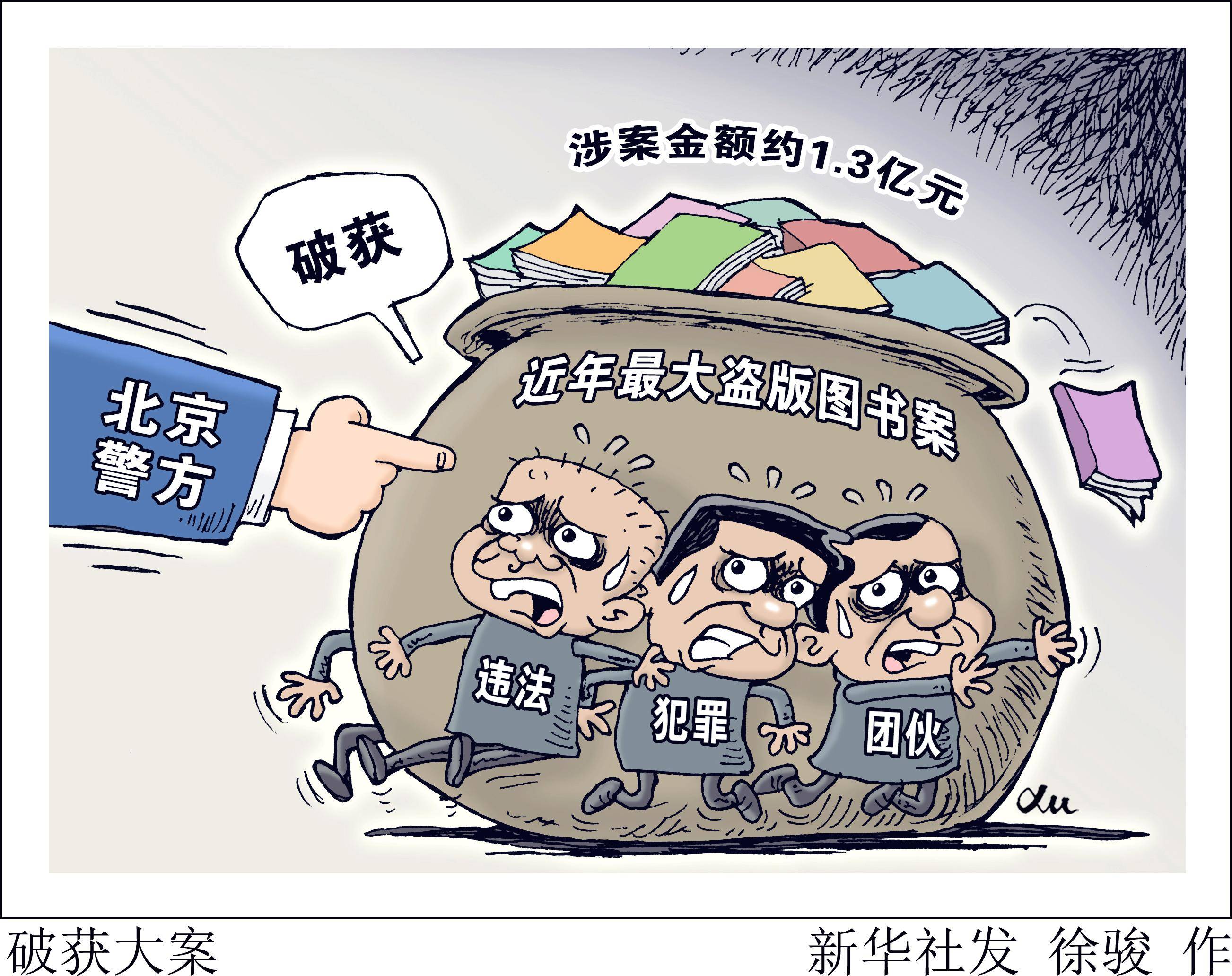 (图表·漫画)〔法治〕破获大案_盗版_新华社_图书