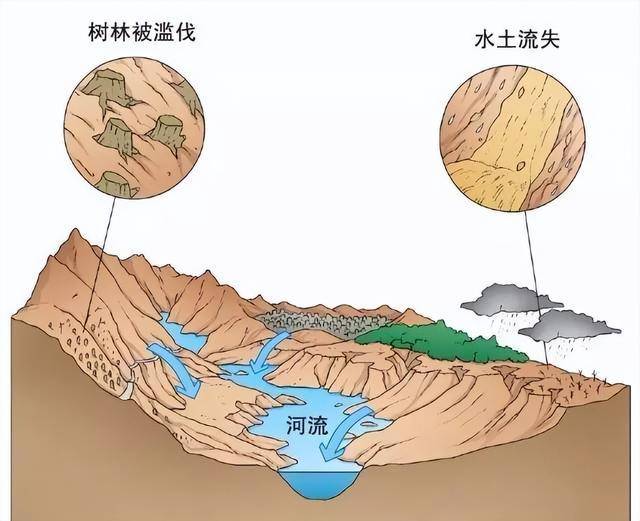 各地气温骤降——多种树是应对自然环境不断完美电竞恶化的有效举措(图5)