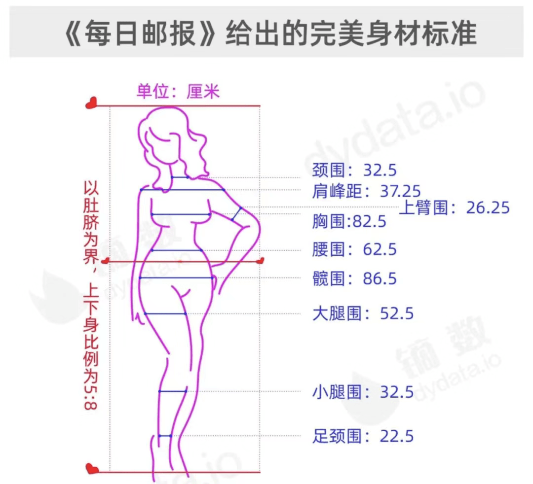 女性黄金分割点图解图片