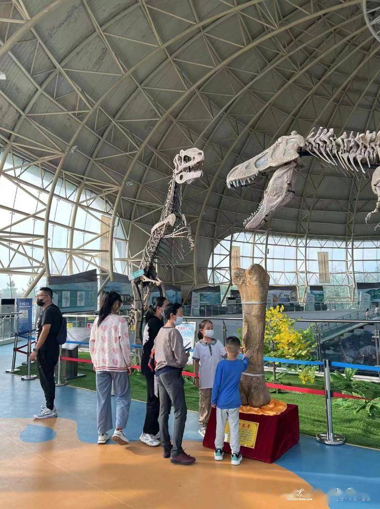 位于诸城恐龙公园北区的恐龙科普大讲堂,将由诸城市恐龙文化研究中心