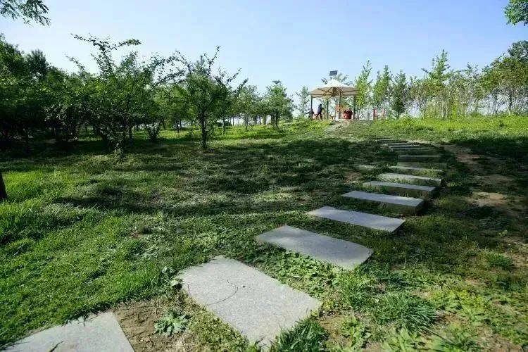 【大美满城】复兴公园绿树荫浓_李静_张宇杰_田素然