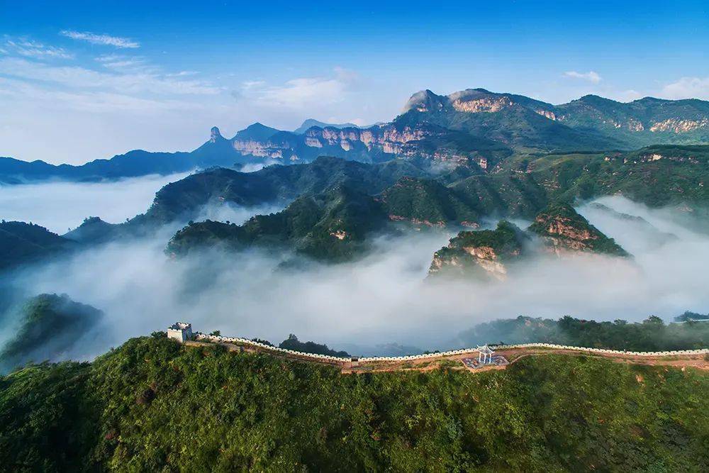 67我看泉城 百善骈臻丨行如微尘 大爱无疆_孩子_双手_生命