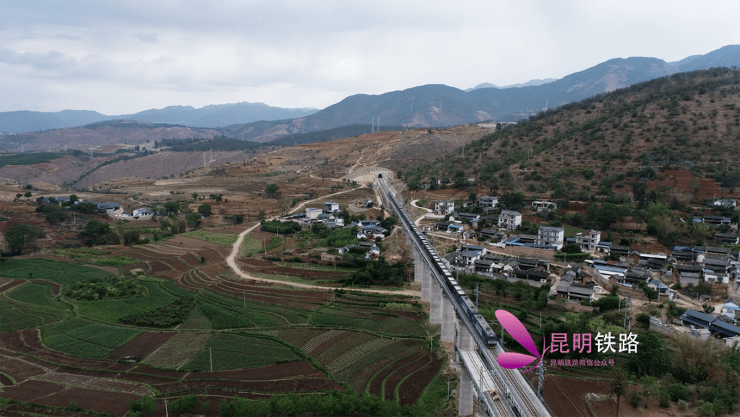 大瑞铁路蒲缥站开通货运,辐射南亚东南亚地区_保山_云南省_车站