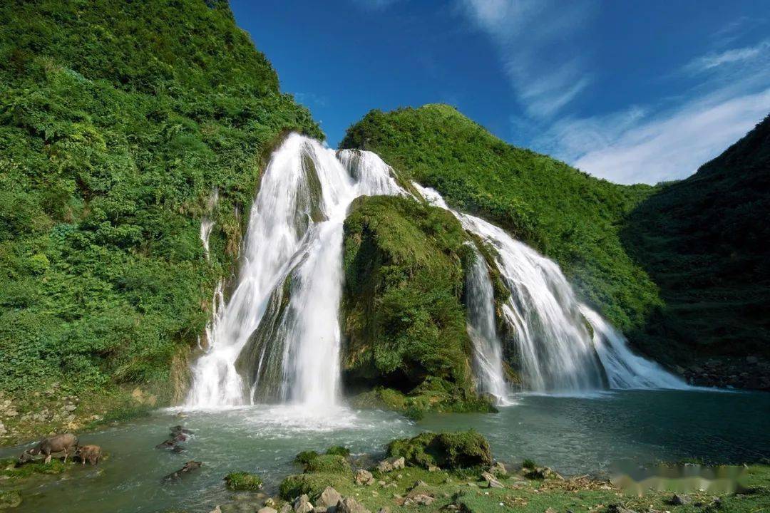 菊黄,桑麻绿春风化雨,雨落田园麻江县乌卡坪蓝梦谷景区一角修宽了那条