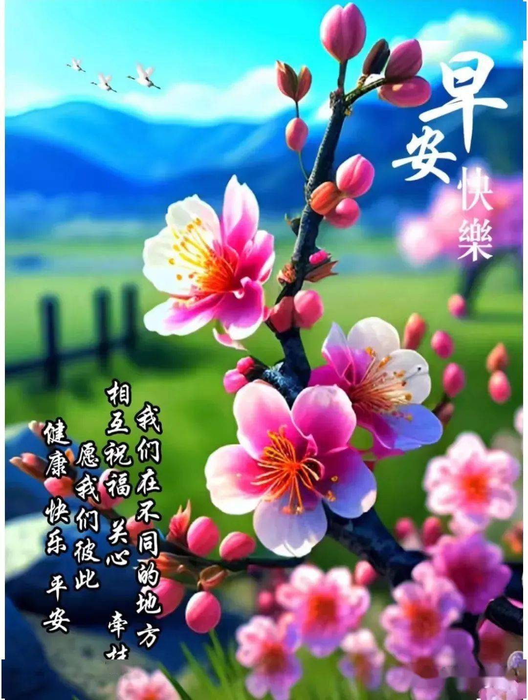 4月29日微信唯美早上好的问候语祝福图片