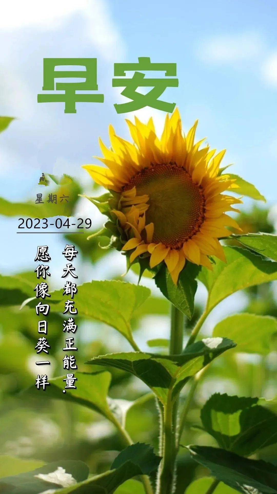 4月29日早安,周六安康,愿你每天充满正能量!