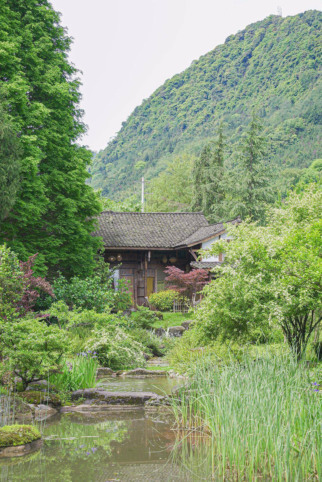 打卡和美乡村消费新场景|邛崃天府红谷,隐于山水间的世外桃源_张敏