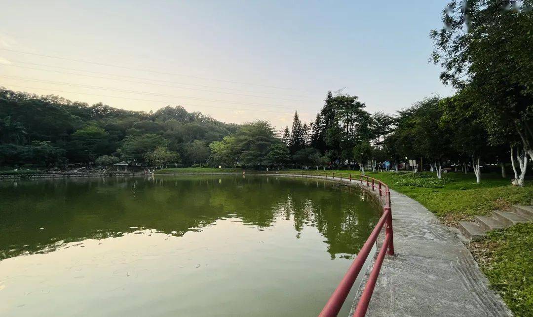 300萬 九年一貫制 強戶型!這個新盤要卷死人!_項目_大道_地塊