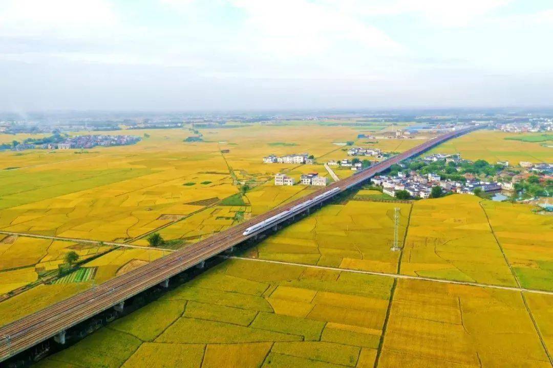 文明村镇 | 宾阳县古辣镇:田园映翠 古韵悠扬_旅游_乡村_文化