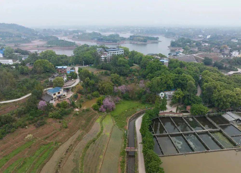 4月25日在泸县立石镇拍摄的泸县渡槽群水源地三溪口水库(无人机照片